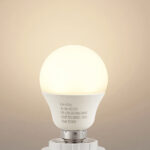 LED bulb