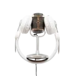 Silicon Microphones